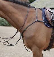 Mark Todd 3 Point Breastplate