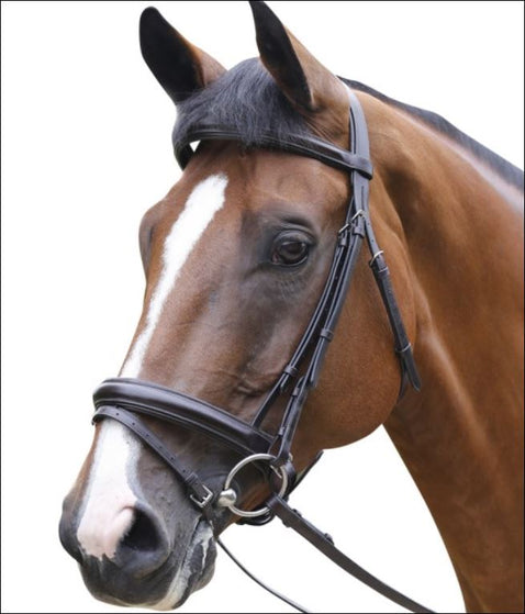 Mark Todd Performance Patent Piped Flash Bridle