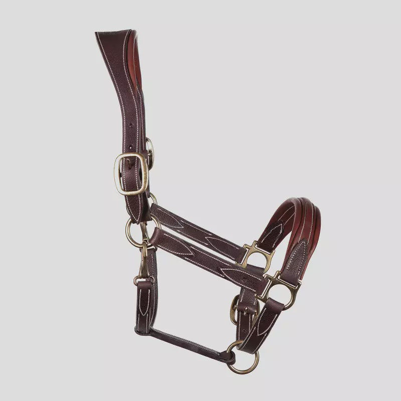 Devoucoux Leather Halter – Castlefin Equestrian