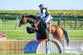 USG Flexi Motion Back Protector