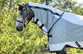 Horsewear Ireland Rambo Airflow