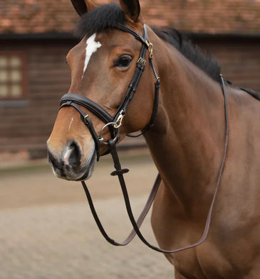 Mark Todd Clip Bridle