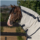 Horsewear Ireland Rambo Allrounder V-Front