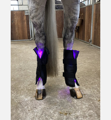 Equine LTS 3.0 Therapy Boots