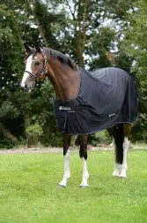 Bucas Shamrock Power Rug