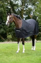 Bucas Shamrock Power Rug
