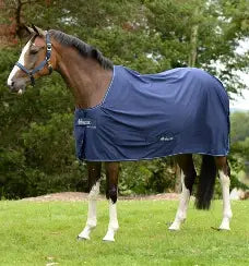 Bucas Shamrock Power Rug