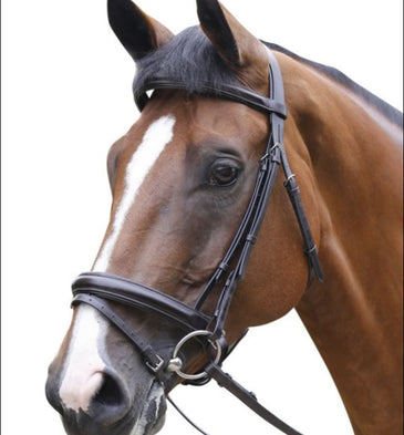 Mark Todd Performance Patent Piped Flash Bridle
