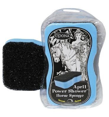 April Shower Power Sponge