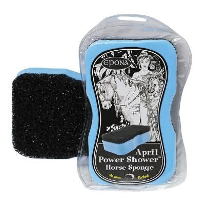 April Shower Power Sponge