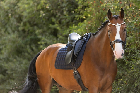 Eskadron Molton Saddle Blanket