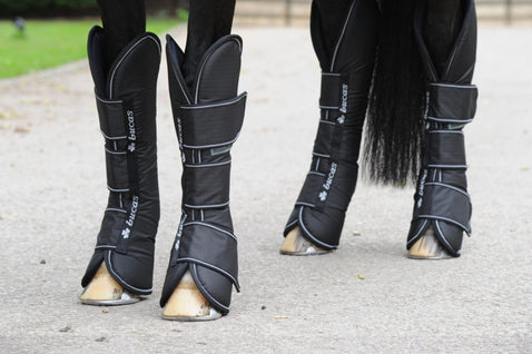 Bucas Freedom Float/Truck Boots