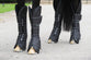 Bucas Freedom Float/Truck Boots