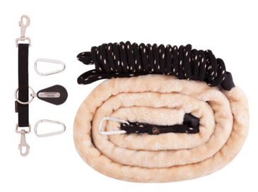 BR CONCORD® LONGE LUNGING METHOD