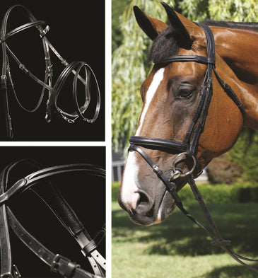 Mark Todd Performance Flash Bridle