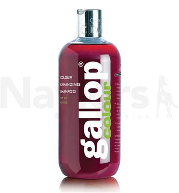 CDM Gallop Colour Bay Shampoo 500ml
