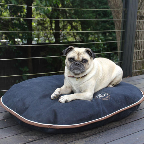 Ogilvy Dog Bed